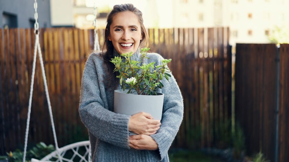 VOI solutions for conveyancing practitioners and mortgagees